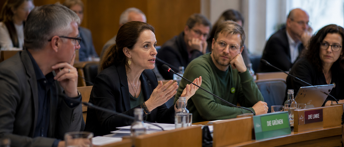 Kritik der Opposition