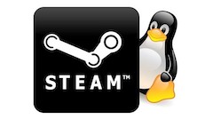 Steam Play unter Linux