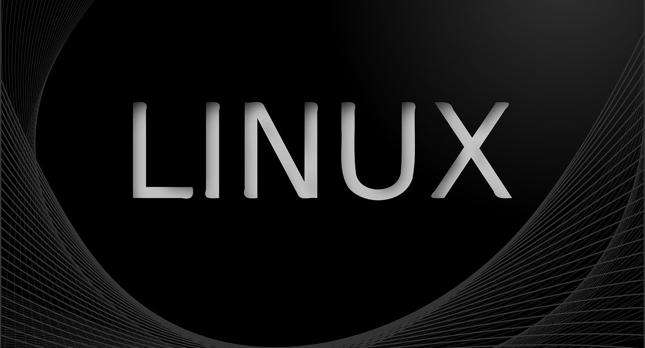 Linux für Unternehmen: Diese Distributionen lohnen sich