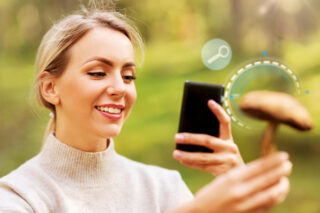 Nutzerfreundlichkeit und Gewohnheiten