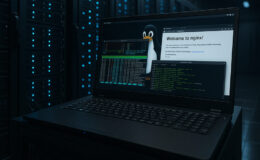Wenn Millisekunden zählen: Rechenleistung und Performance unter Linux