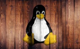 Spezial-Linux unter Windows