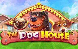 The Dog House: Who Let the Dogs Out?