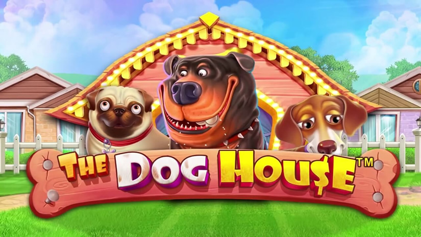 The Dog House: Who Let the Dogs Out?