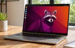 Ubuntu 26.04 - Der entschlossene Waschbär mit Langzeitunterstützung