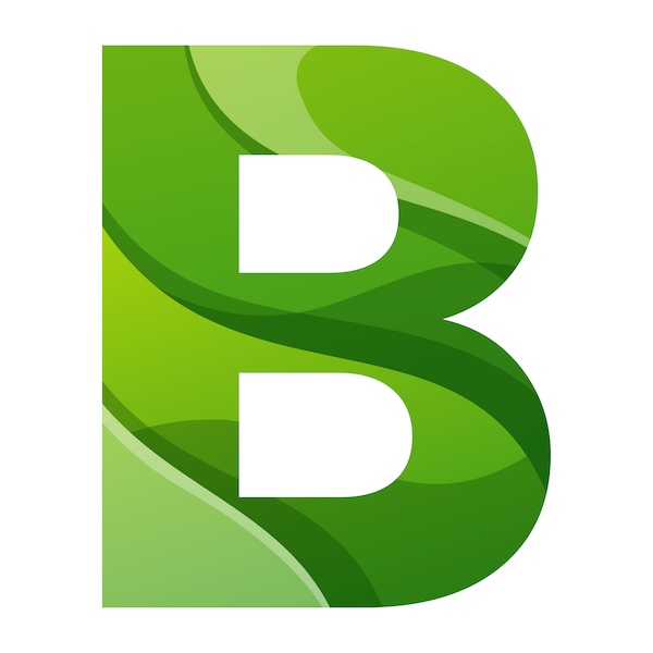 Variante B
